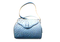 �V�����_�[